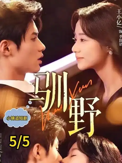 狂飙电视剧海报